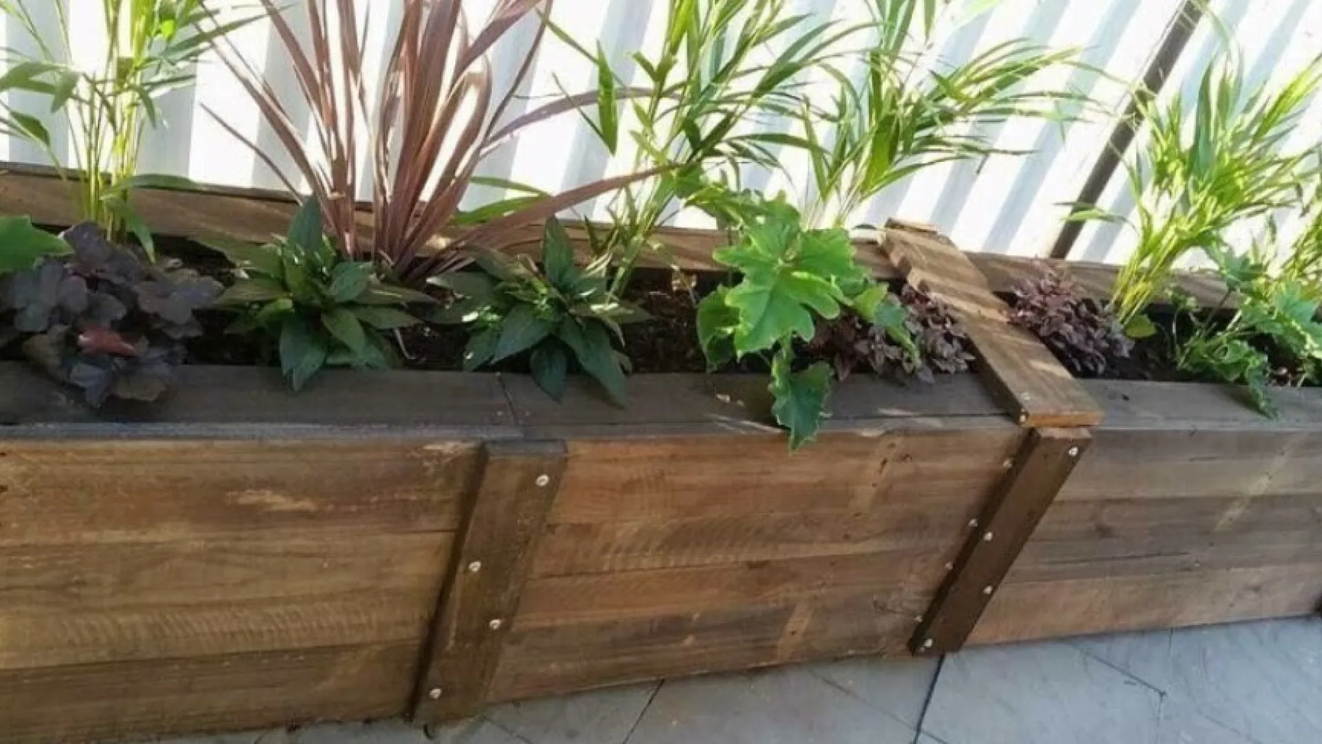 A photo of some plants.